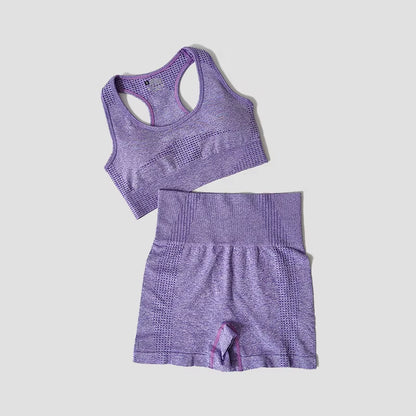 Women Seamless 2PCS Yoga Set Sports Bra High Waist Fitness Gym Shorts Gym Set Running Sportswear Workout Clothes Sports Suits